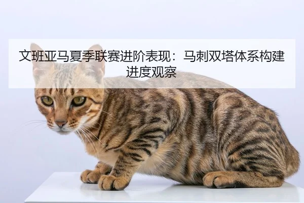 文班亚马夏季联赛进阶表现：马刺双塔体系构建进度观察