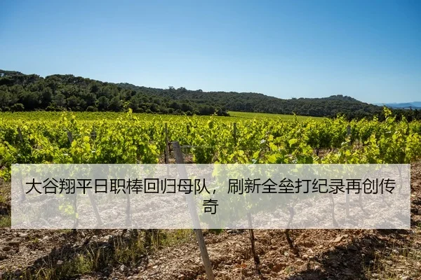 大谷翔平日职棒回归母队，刷新全垒打纪录再创传奇