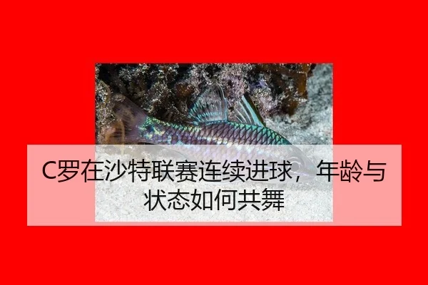 C罗在沙特联赛连续进球，年龄与状态如何共舞